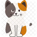 Cat Pet Animal Icon