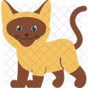 Cat Pet Animal Icon