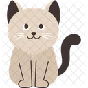 Cat Pet Animal Icono