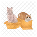 Cat Cat In Box Pet Icon