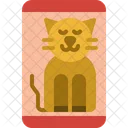 Cat walpaper  Icon