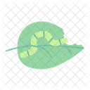 Caterpillar Leaf Pest Icon