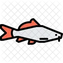 Catfish Symbol