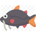 Catfish  Icon