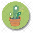 Catus Pot Catus Pot Icon