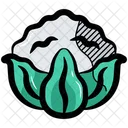 Cauliflower  Icon