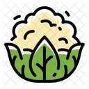 Cauliflower  Icon