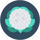 Cauliflower  Icon