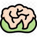 Cauliflower  Icon