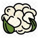 Cauliflower  Icon