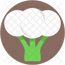 Cauliflower  Icon