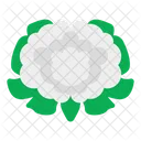 Cauliflower  Icon