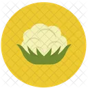 Cauliflower  Icon