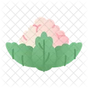 Cauliflower  Icon