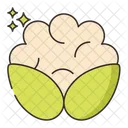 Cauliflower  Icon