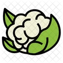 Cauliflower  Icon