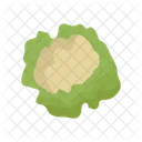 Cauliflower  Icon