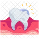 Cavity  Icon