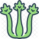 Celery  Icon