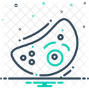 세포 진핵생물 단세포 아이콘