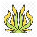 Century Plant  Icon