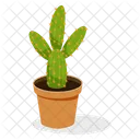 Indoor Plant Ornamental Plant Houseplant Decoration Icon