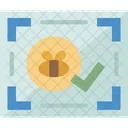 Certificate Honey Quality Icon