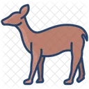 Fawn Animal Fauna Icono