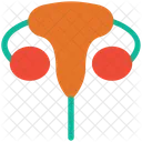 Cervix  Icon