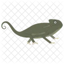 Chameleon Reptile Animal Icon