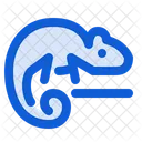 Chameleon  Icon