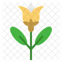 Chamomile  Icon