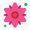 Chamomile  Icon