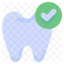 Checked Checkmark Tooth Icon