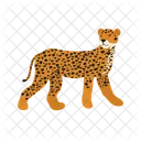 Cheetah  Icon