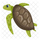 Turtle Icons Flatback Turtle Tortoise Icon