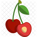 Cherries  Icon