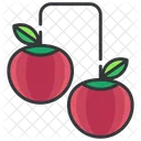 Cherries  Icon