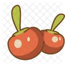 Cherry  Icon