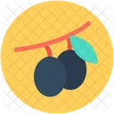 Cherry  Icon