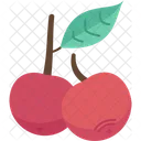 Cherry  Icon