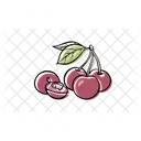 Cherry Fruit Food Icon