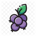 Berries Icon