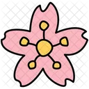 Cherry Blossom  Icon