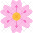 Cherry Blossom  Icon