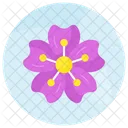 Cherry blossom  Icon