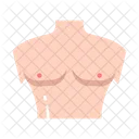 Chest Body Male Icon