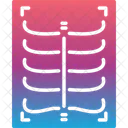 Chest Fluorography Medicine Symbol