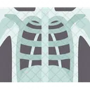 Chest Thorax Radiation Icon