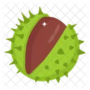 Chestnut  Icon